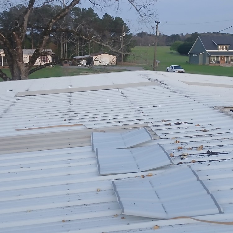 Just another WordPress site